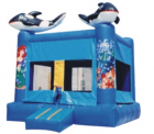 Inflatable Castles