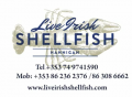 Hannigan Live Irish Shellfish