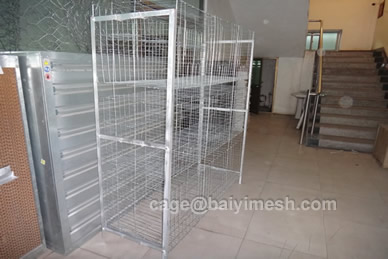 Pigeon Cage