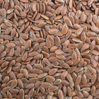 Flax seed