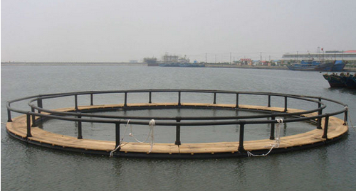 Aquaculture  Cage