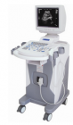 Human Ultrasound Scanner-DW-350