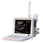 Veterinary Ultrasound Scanner-DW-V360