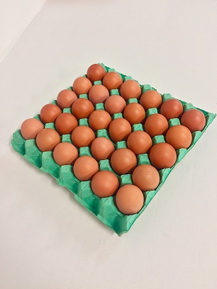 Connollys Free Range Corn Fed Egg's (medium loose 30's)