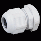 Cable Gland