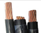 Insulated Electrical wire