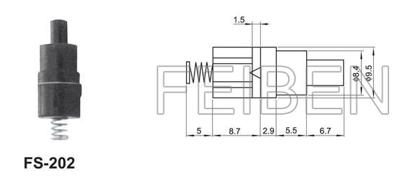 Push Button Switch