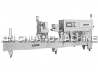 Auto Continous Filling and Sealing Machine