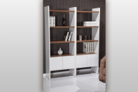 BOOKCASE-KARENINA