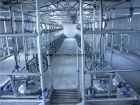 Dairy Processing Machinery