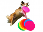 Frisbee