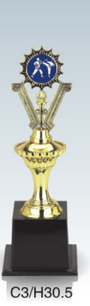 Trophy 