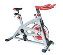 Spin Bike （YD-5601）