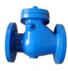 Check Valves