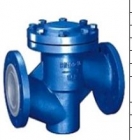 Check Valves