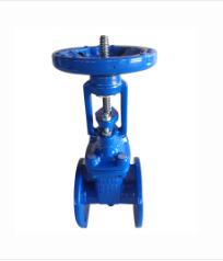 Gate valves