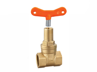 Gate valves