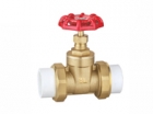 Valves