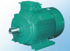 AC Asynchronous Motor