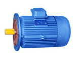 AC Induction Motor