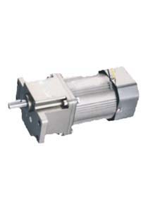 DC Gear Motor