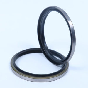 Hydraulic Seal