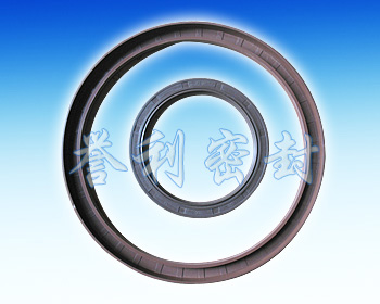 Hydraulic Seal