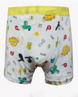 Kids underwear-80010