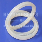 O Ring Seal