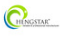 Shenzhen Xin Hengstar Technology Co., Ltd.