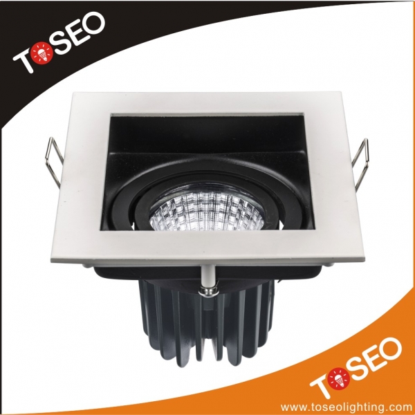 LED Downlighters