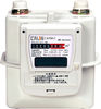 Gas Meters