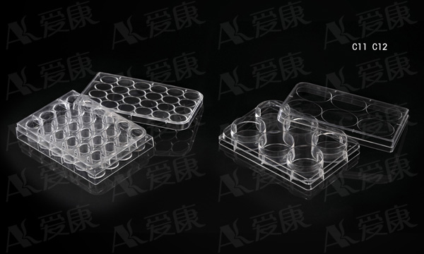 Petri Dish