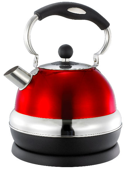 Stainless steel kettle