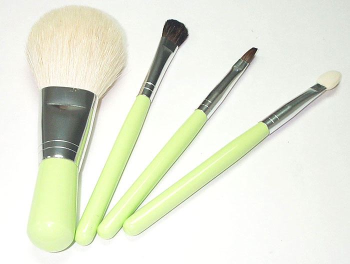 Makeup Brushes