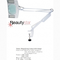 Magnifying Lamp