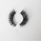 False Eyelashes