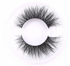 False Eyelashes