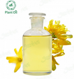 Forsythia oil