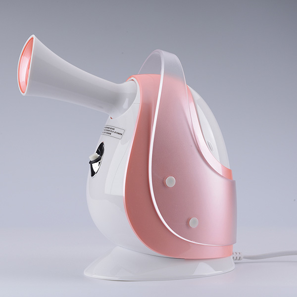 Facial Steamer