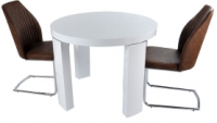 dining table-t1428