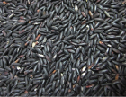 Black Rice