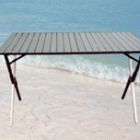 Camping Table (66108)