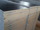 film faced plywood black