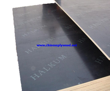 Black Film Faced Plywood