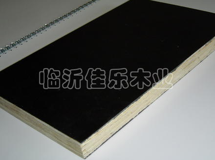 Black film faced plywood(Black02)