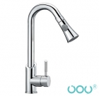 Kitchen Faucet (X8119)