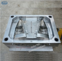 Auto Lamp Injection Mould (XTPM-2014032)