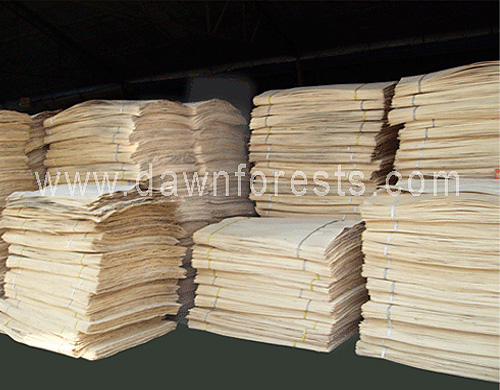 Plywood Inter-ply Veneer (V)