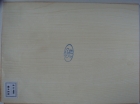 Laminate Flooring